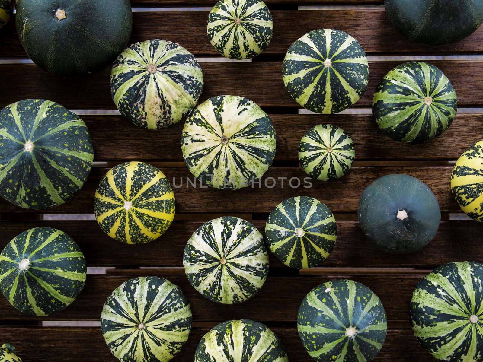 Still life with variety of green and yellow pumpkins cucurbita pepo spread on wooden table viewed from top, useable as seasonal autumn harvest Halloween housing decoration illustration