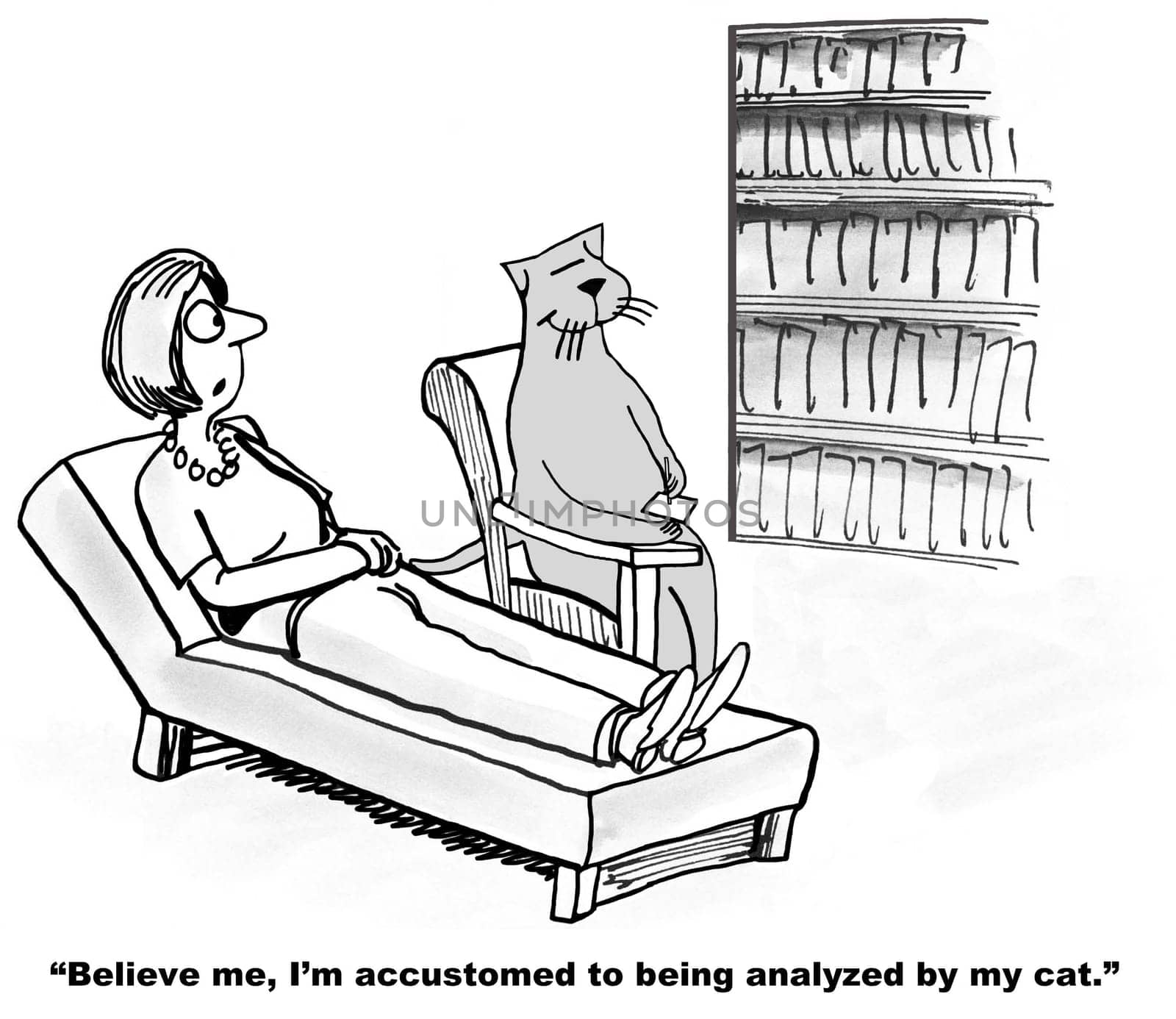 Mental health cartoon.  The woman is accustomed to being analyzed by a cat.