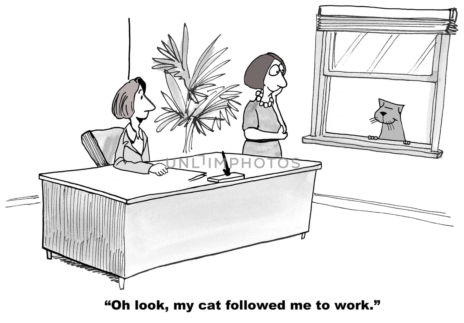 Cat cartoon.  The cat followed his owner to her job.