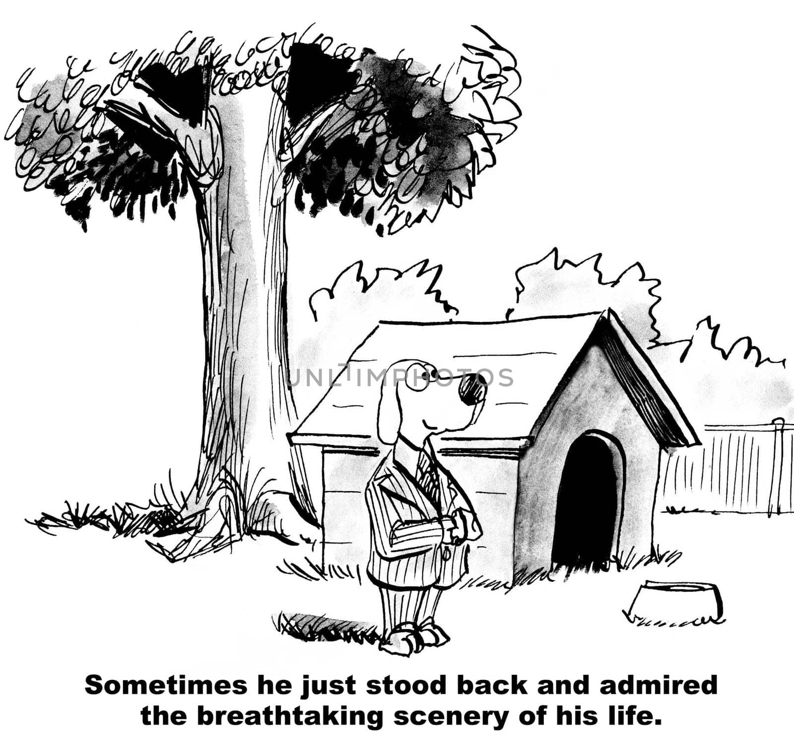 Dog cartoon.  The dog admires the breathtaking beauty around him.