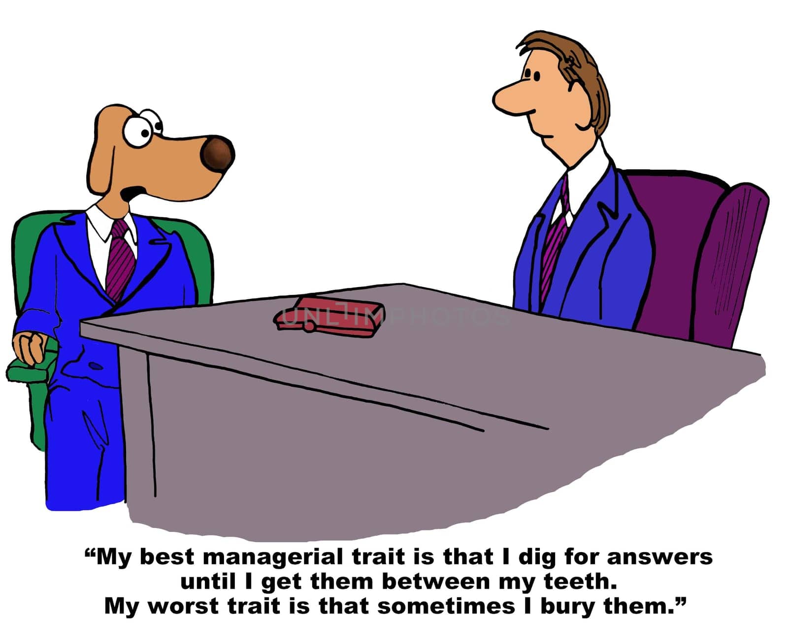 Business cartoon about job search.  The business dog is in a job interview and answering a question about his best and worst traits.