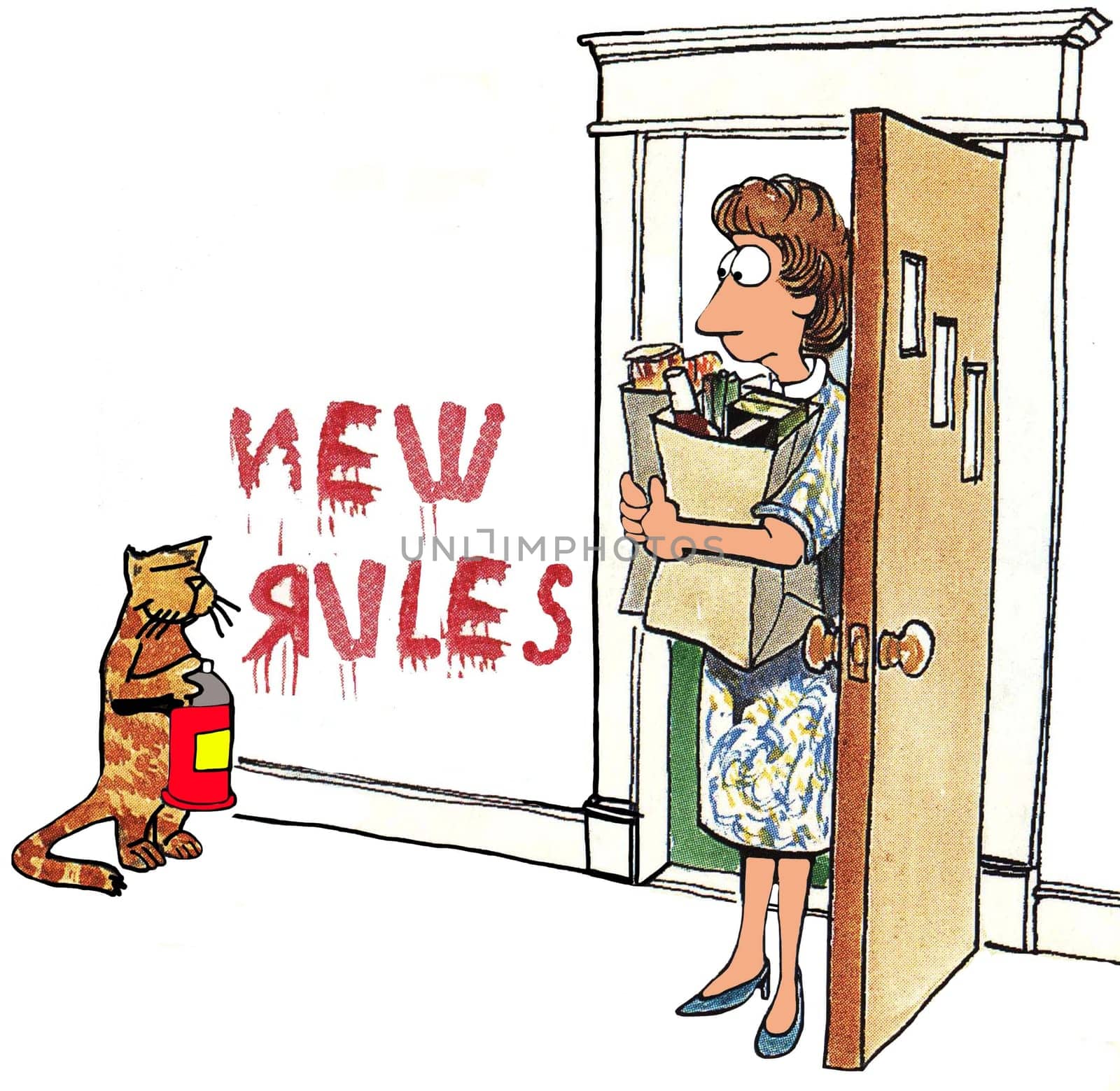 Cat cartoon.  The cat has decided it is time for new rules at the house.