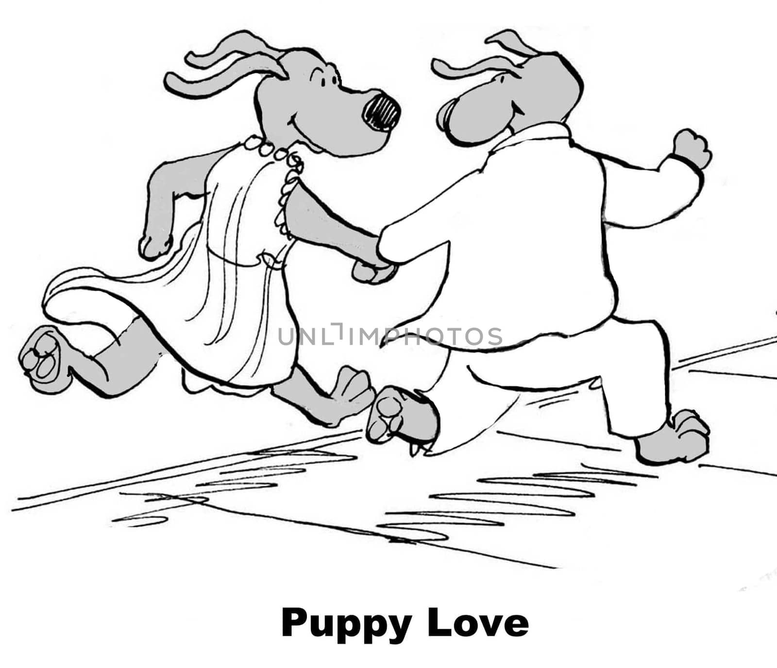 Valentine's Day cartoon.  This is the dog's first love, it is puppy love.