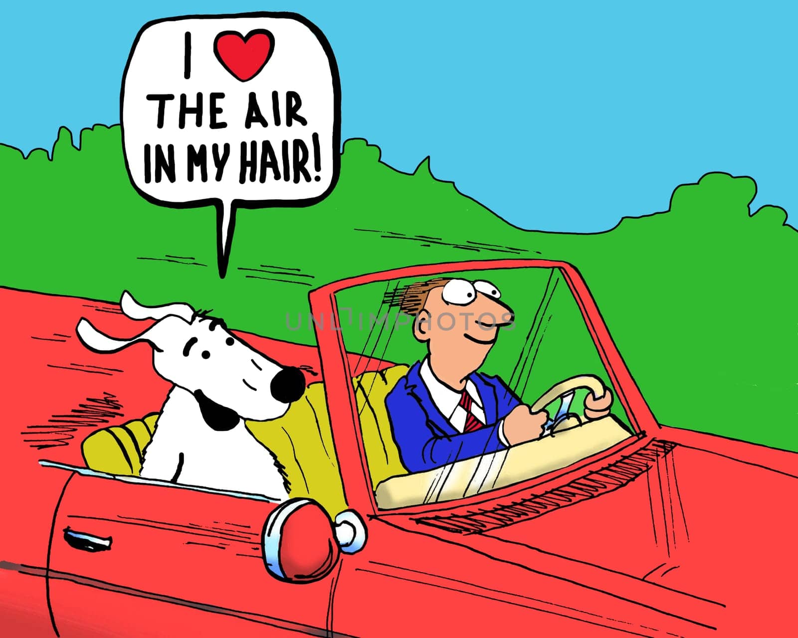 Dog cartoon.  The dog is riding in a fast convertible car and loves the feeling of the air through his fur.