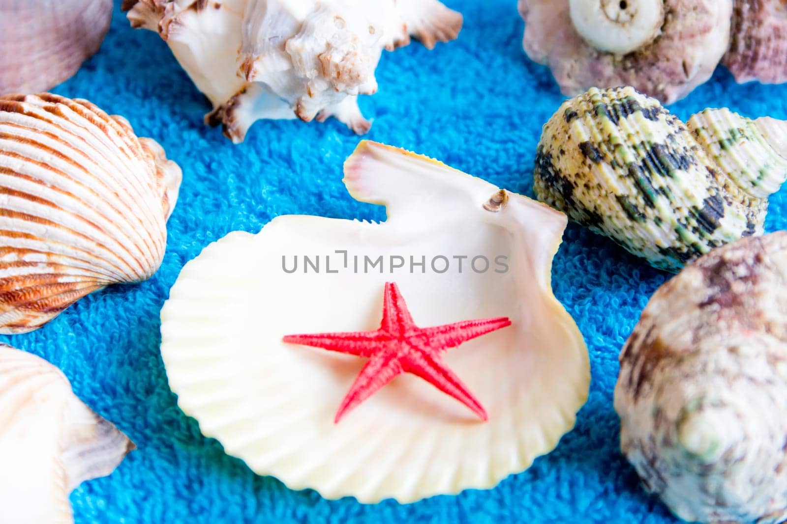 Photo of lot seashells on color towel