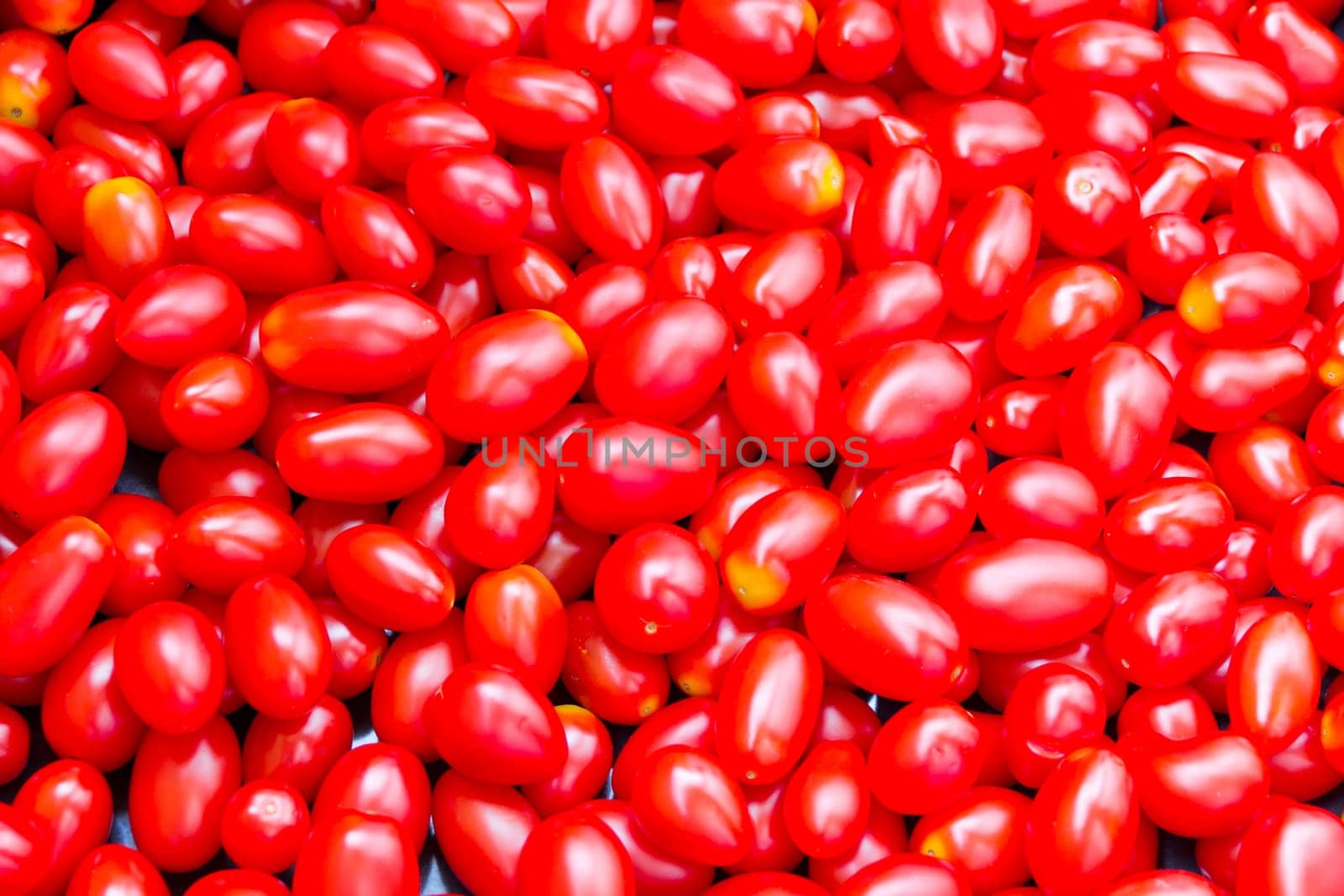 Photo of background with fresh red tomatos