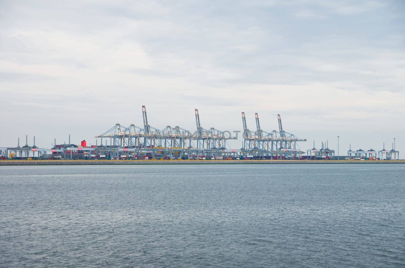 row of large harbor cranes in the rotterdam harbor
