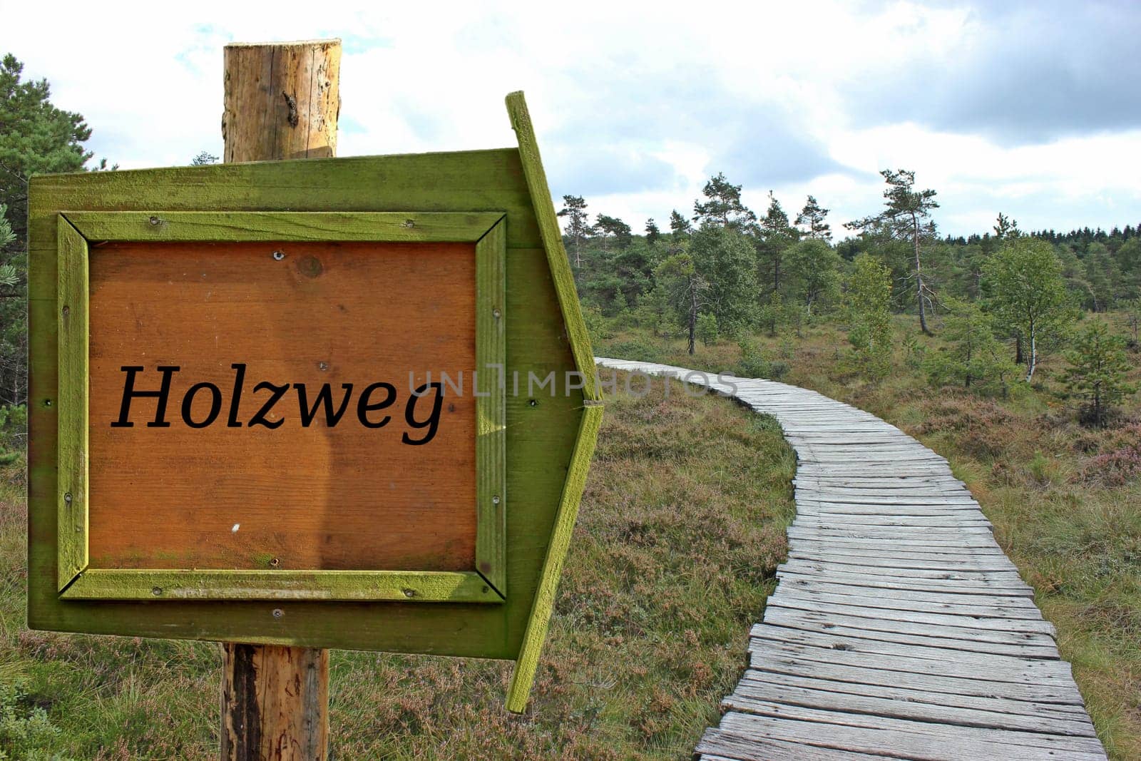 On the wooden path...