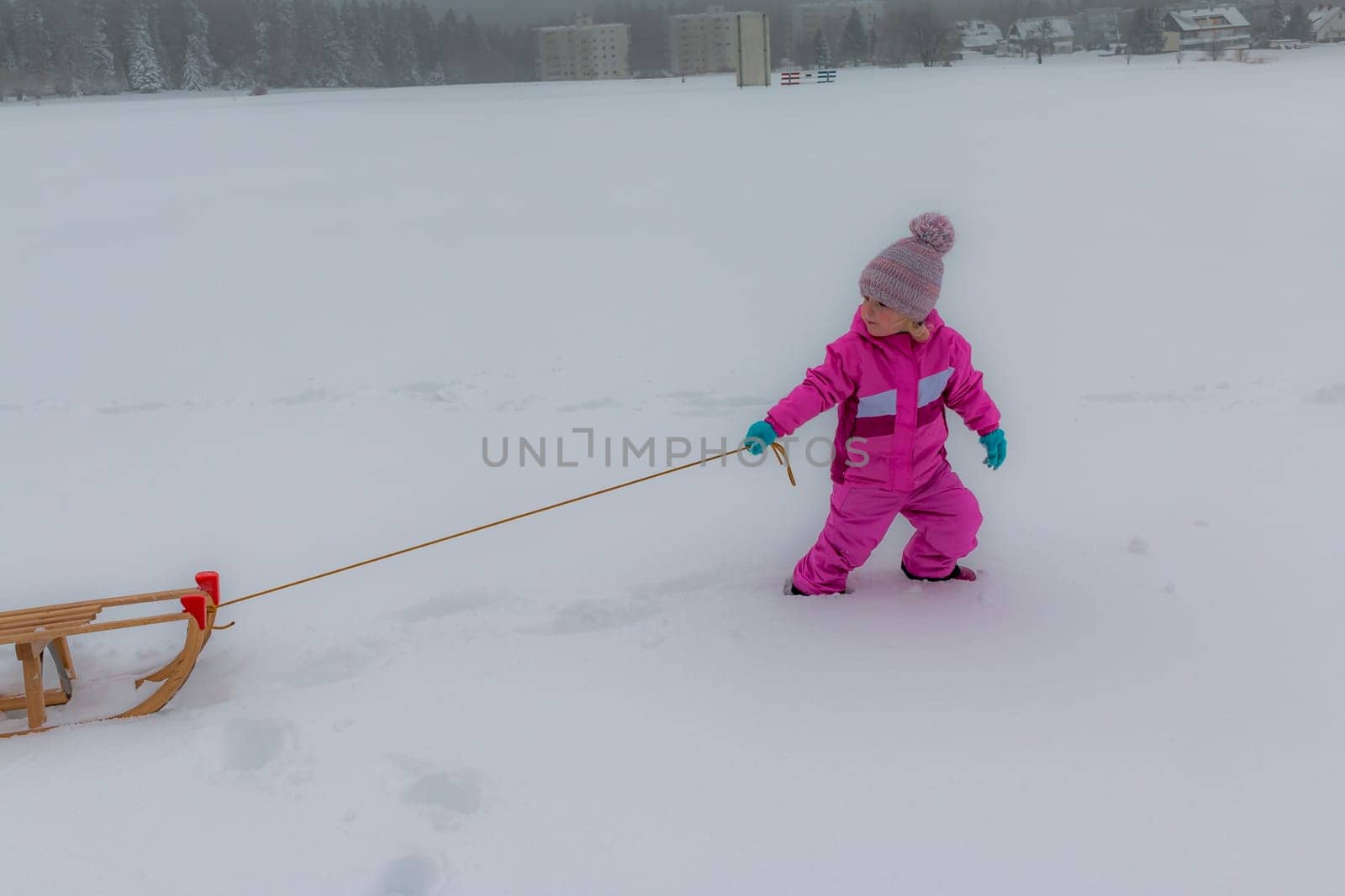Sledging