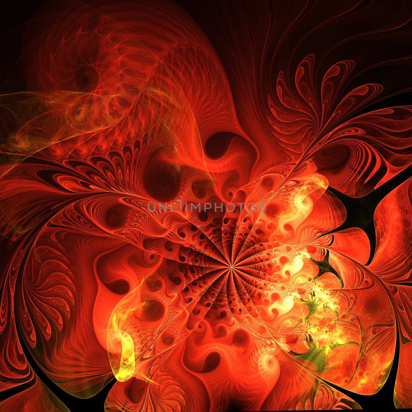 Beautiful abstract fractal red flower on dark background.