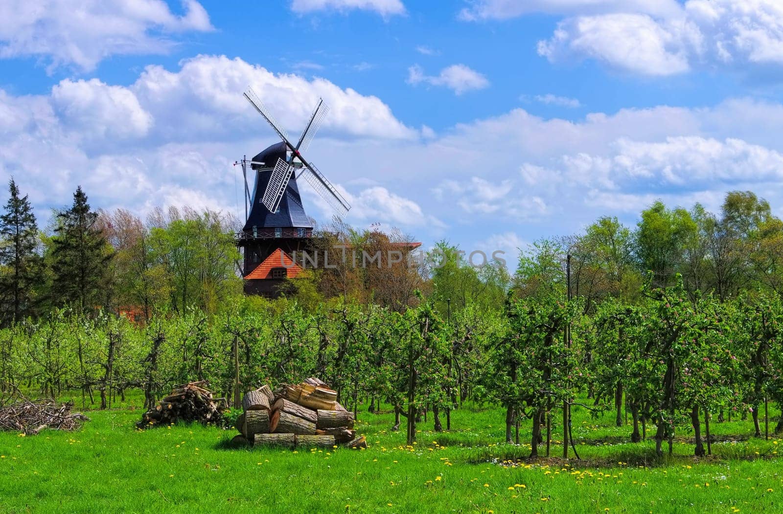 Westeraccum Windmuehle - windmill Westeraccum 01