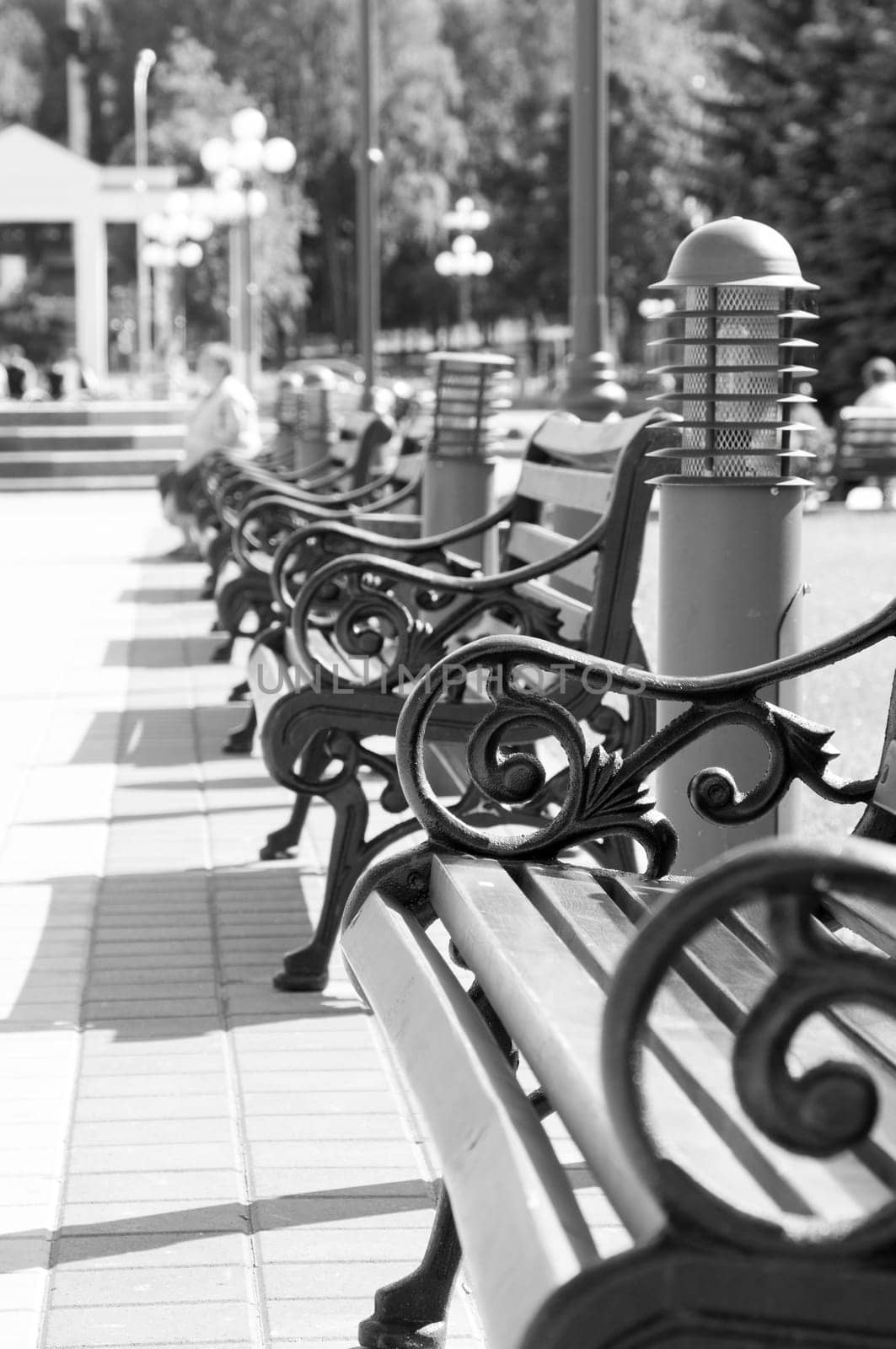 black and white photography benches standing in a row