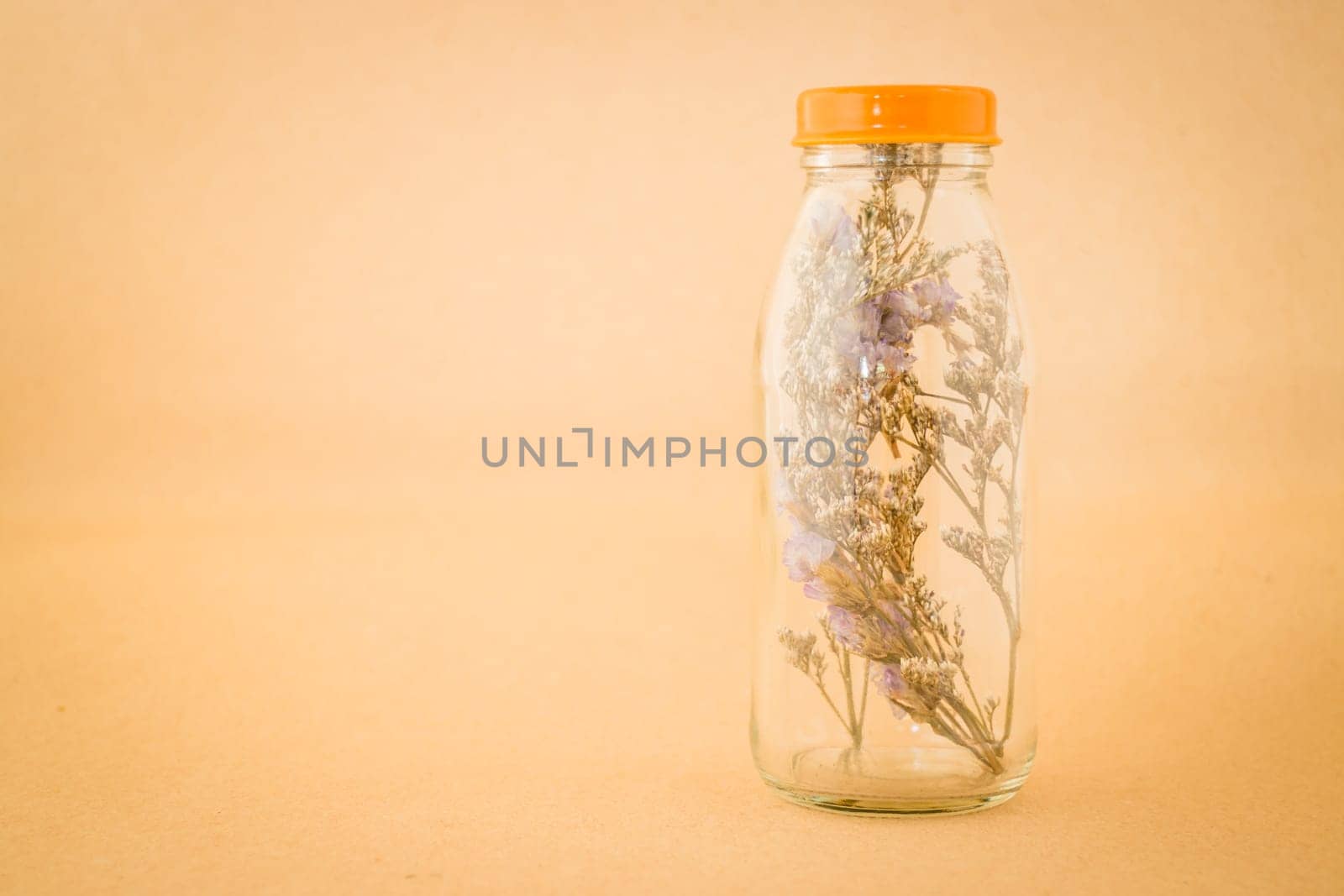 Beautiful violet dried flower in the bottle, stock photo