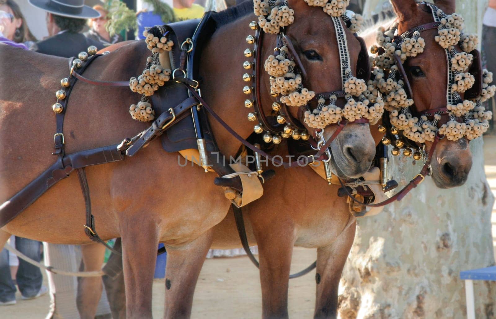 Traditional decorated carriage of mules at Seville festival, Spain