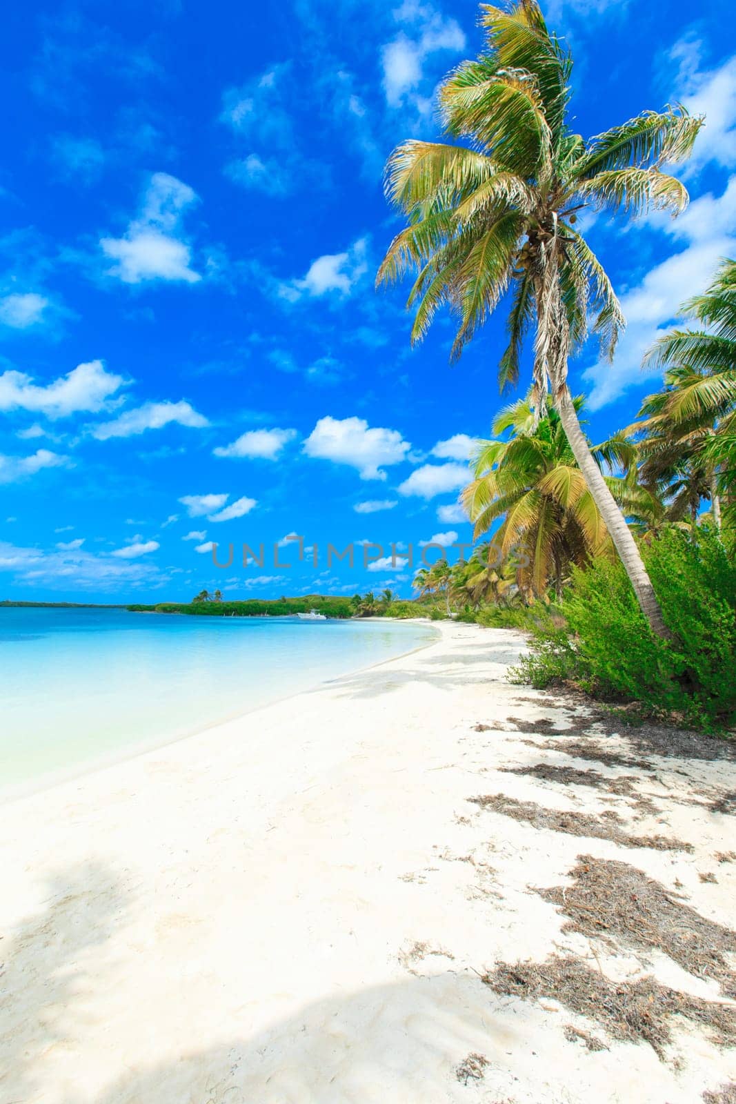 beautiful beach and tropical sea