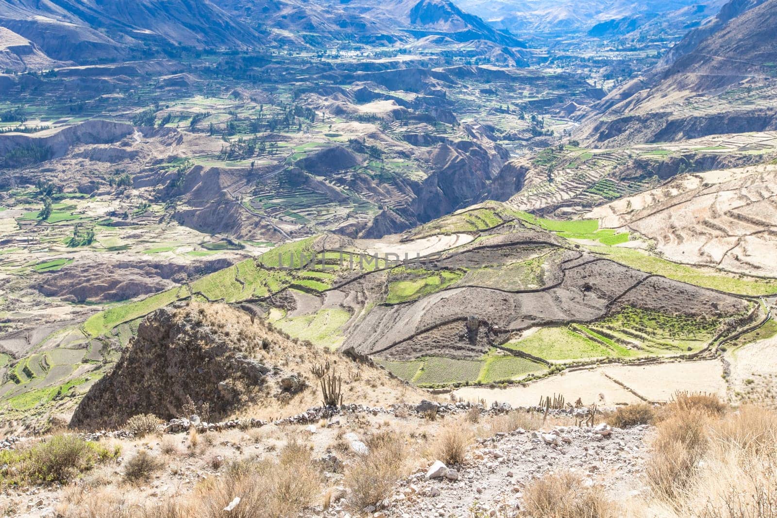 landscape in Andes.  Peru.