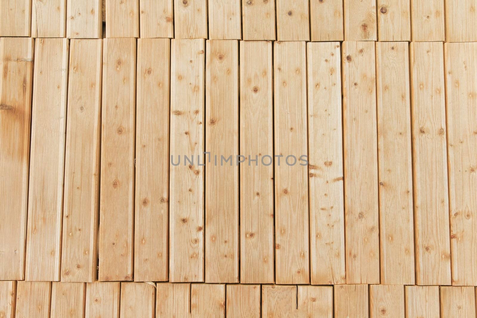 wood texture. background old panels..