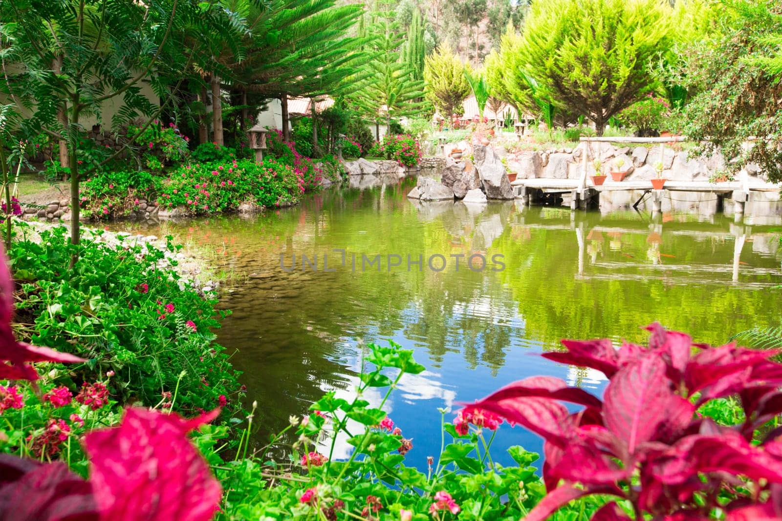 Garden landscape..