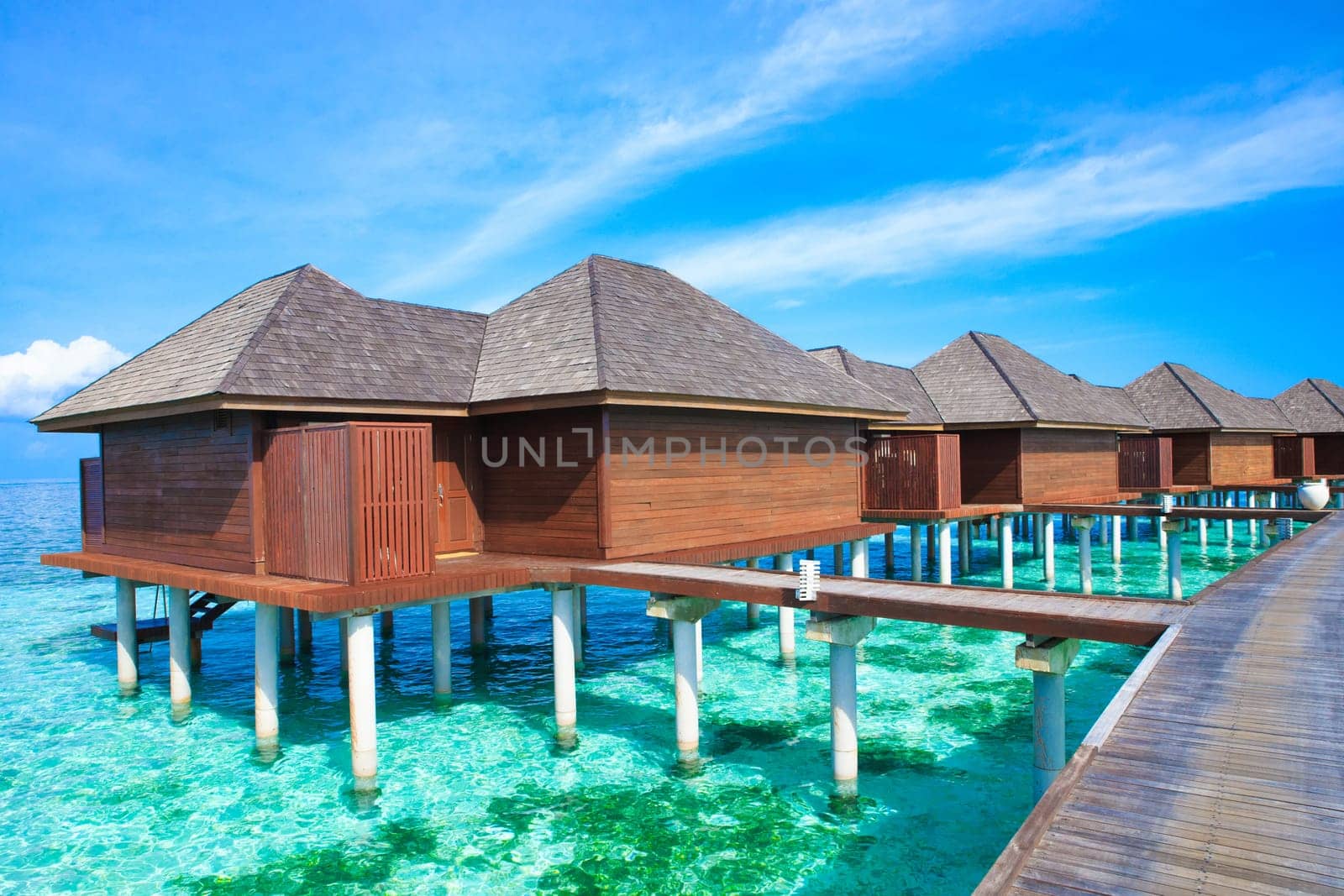 tropical beach in Maldives with few palm trees and blue lagoon