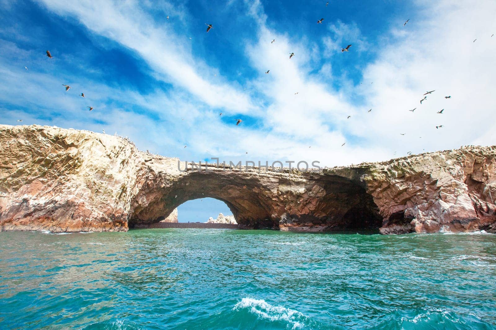 Birds in Ballestas Island (Paracas/Pisco, Peru)..