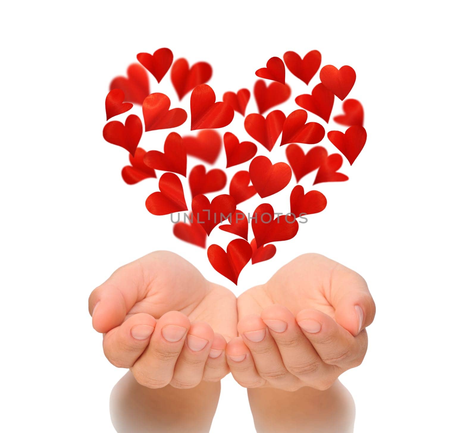 Hearts in heart shape flying over cupped hands of young woman, Valentine's Day, Happy Valentines day, love concept, isolated on white background, birthday card, health insurance concept, hearts are made from flower petals