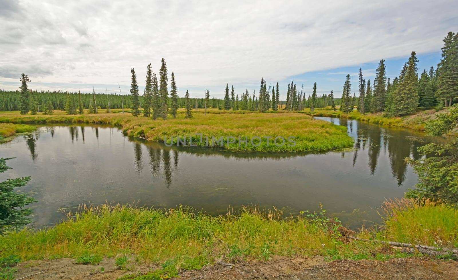 Oxbow bend in the Moose River of the Kenai Peninsula of Alaska