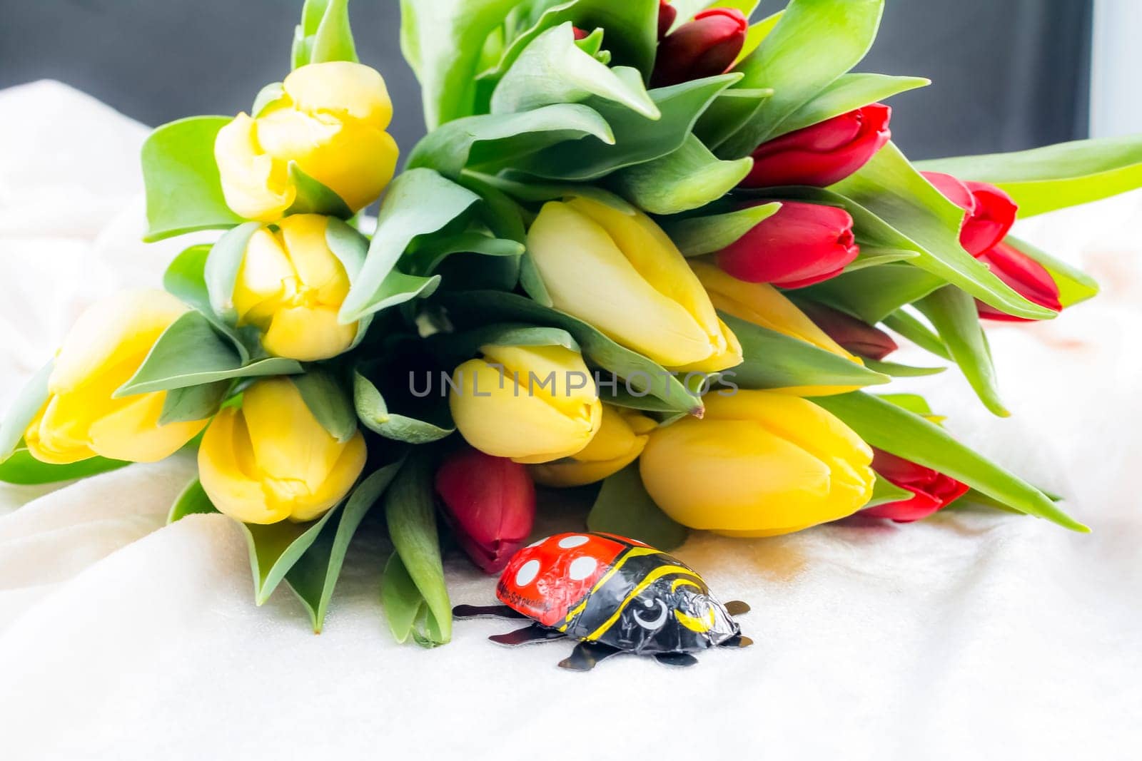 Spring flowers