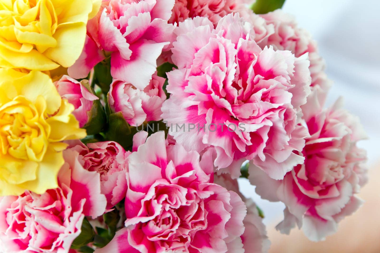 Photo of red and yellow carnations in bouquet