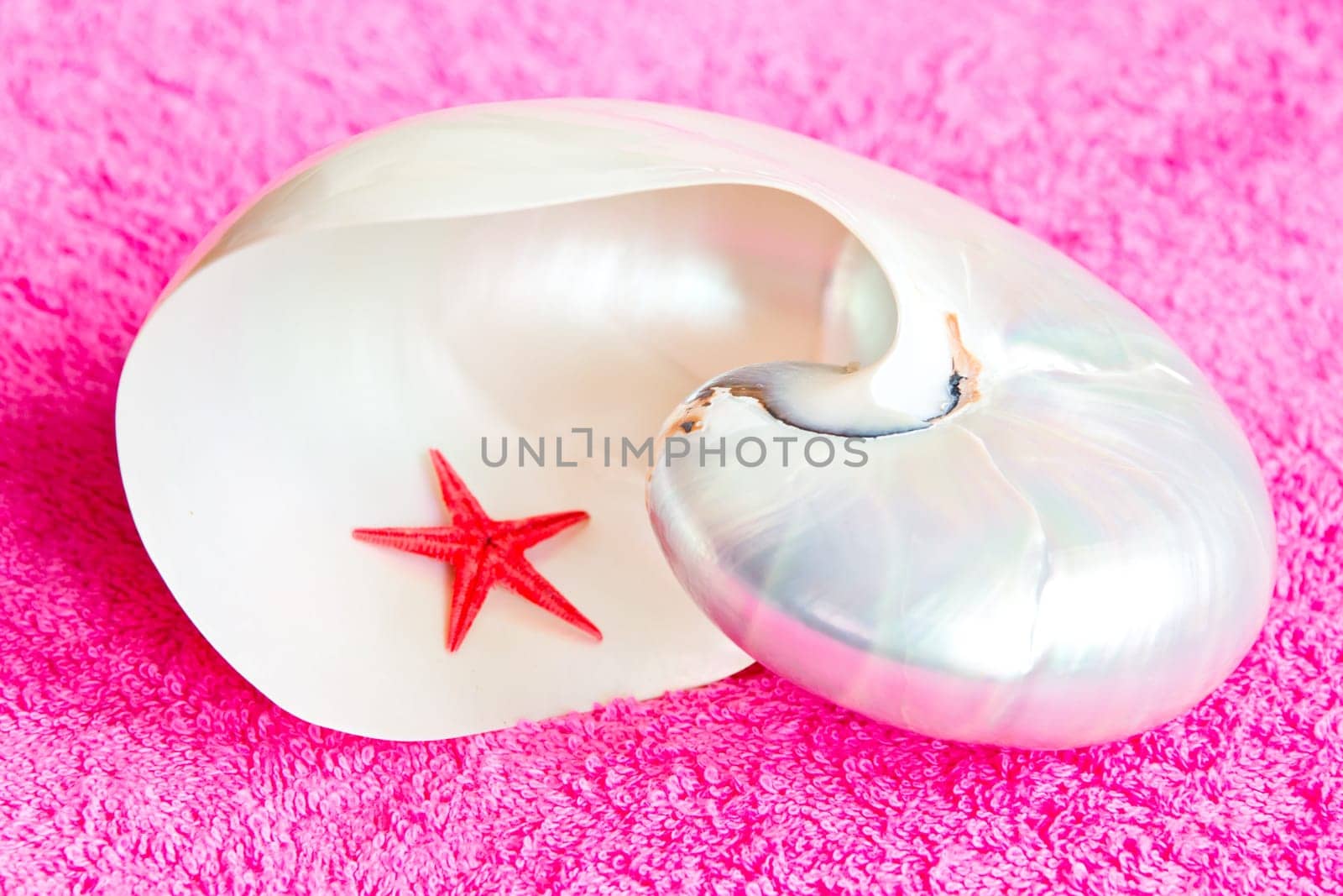 Photo of lot seashells on color towel