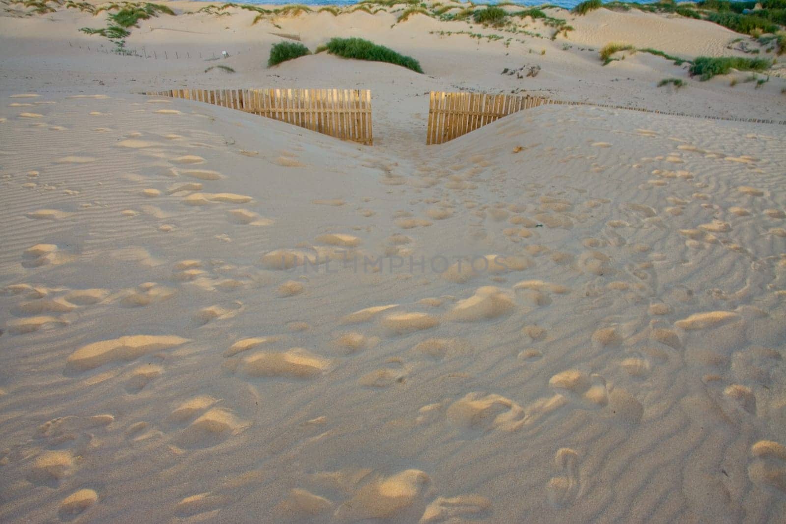 Wooden Fences door On Deserted Beach Dunes In Tarifa, Spain