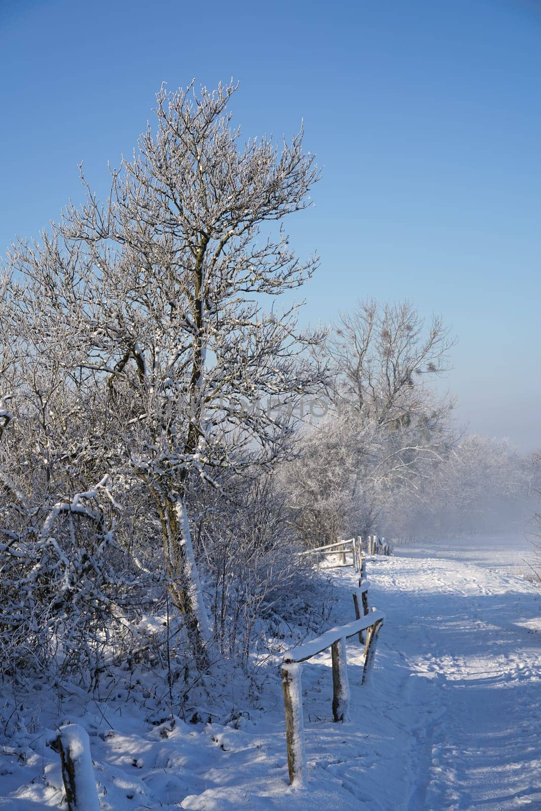 Hiking trail in a snowy landscape in winter