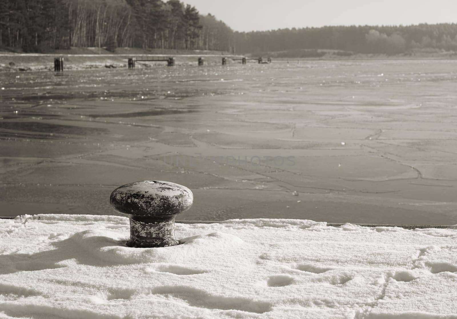 Bollards on the banks of the Elbe