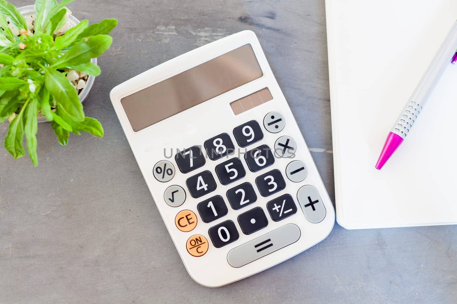 Calculator, notepad,  pen and green plant on grey background, stock photo