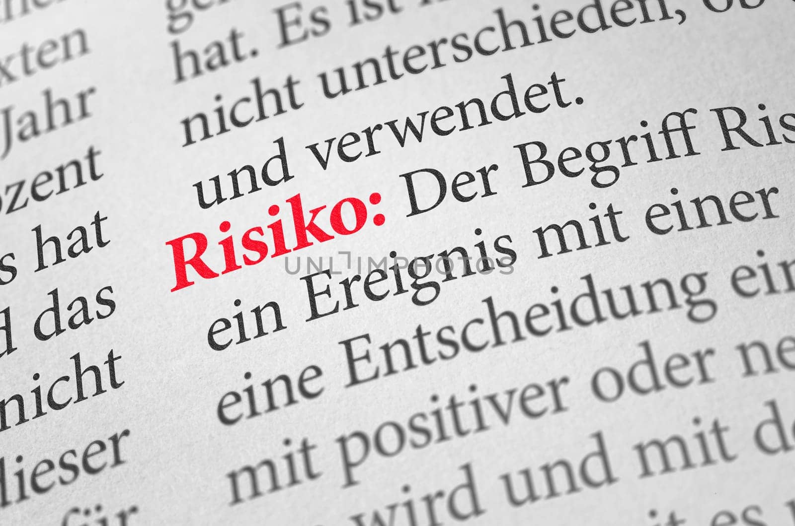 Dictionary with the term risk