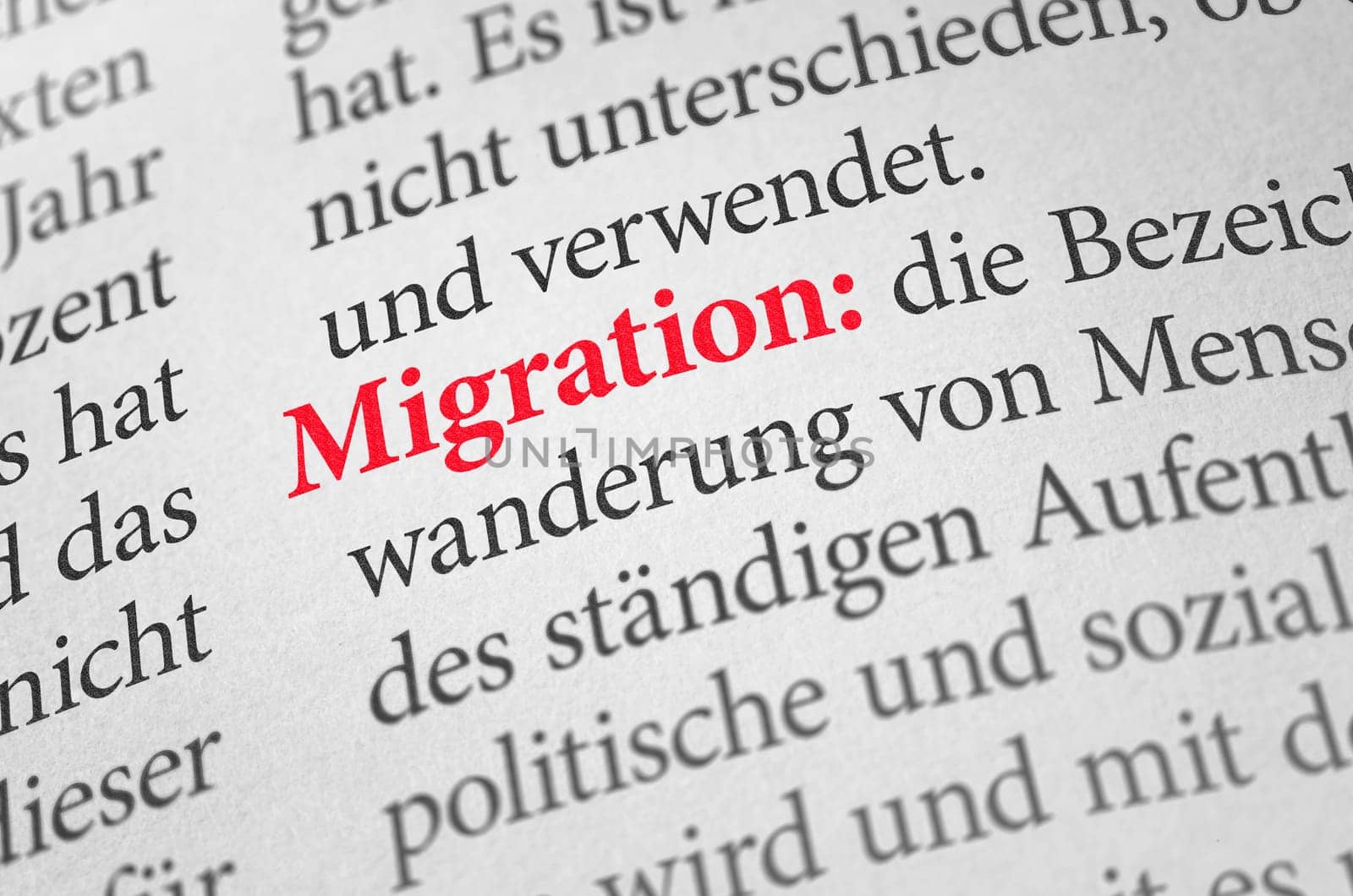 Dictionary with the term migration