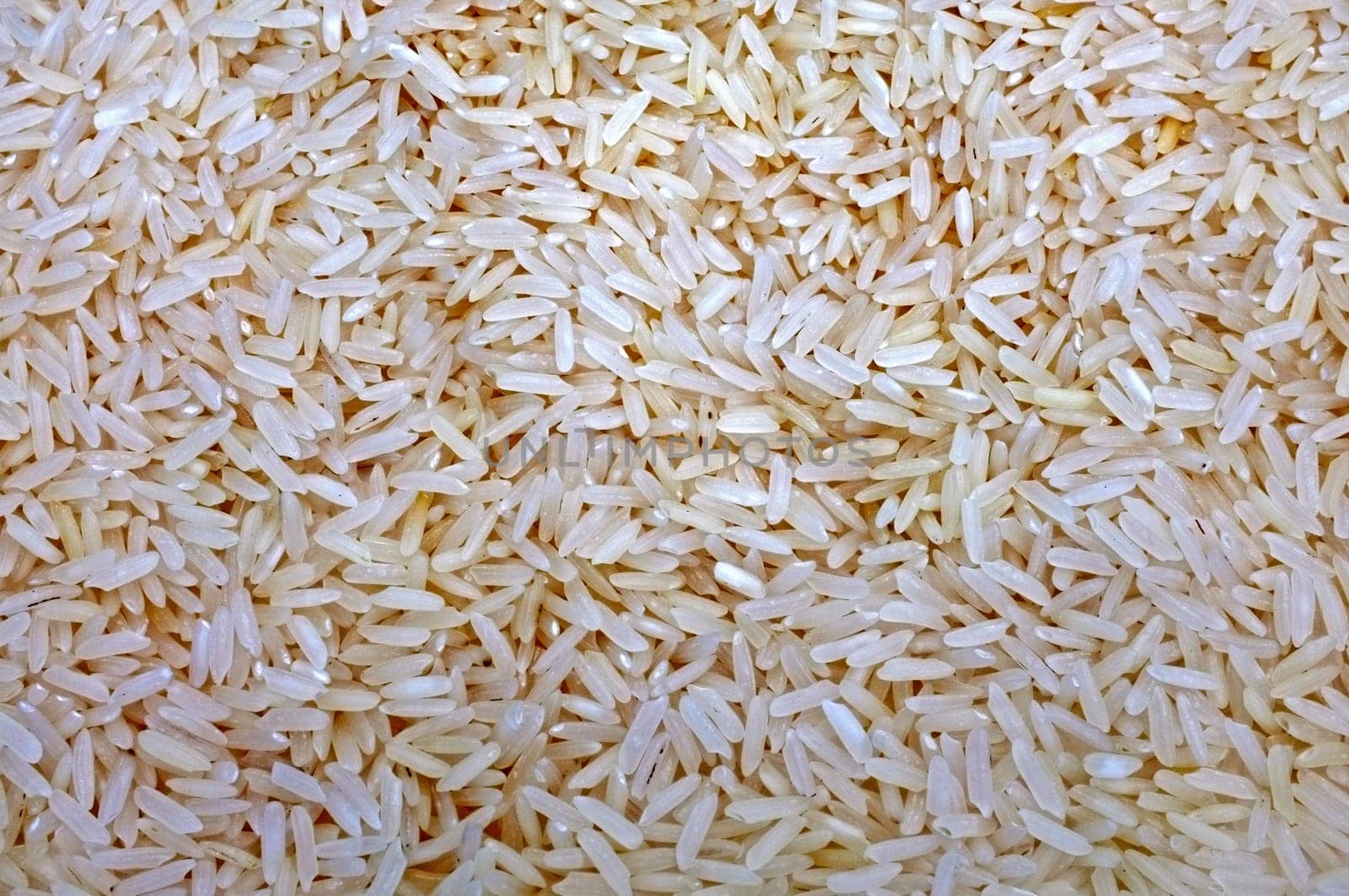 White Rice, Jasmine Rice as wallpaper