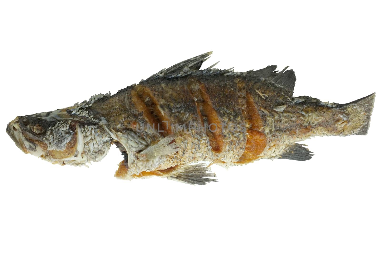 One deep fried fish isolated on white background