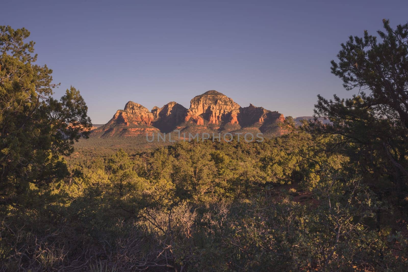 Landscape of Thunder Mountain framed in green foliage, Sedona, Arizona.