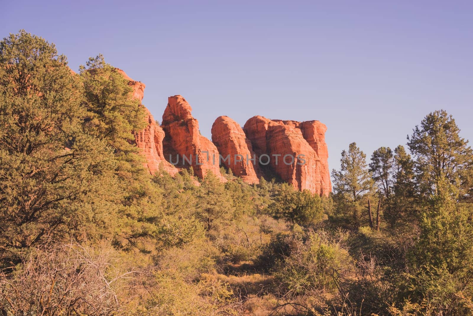 Landscape of a red rock formation surrounded by green foliage in Sedona, Arizona.