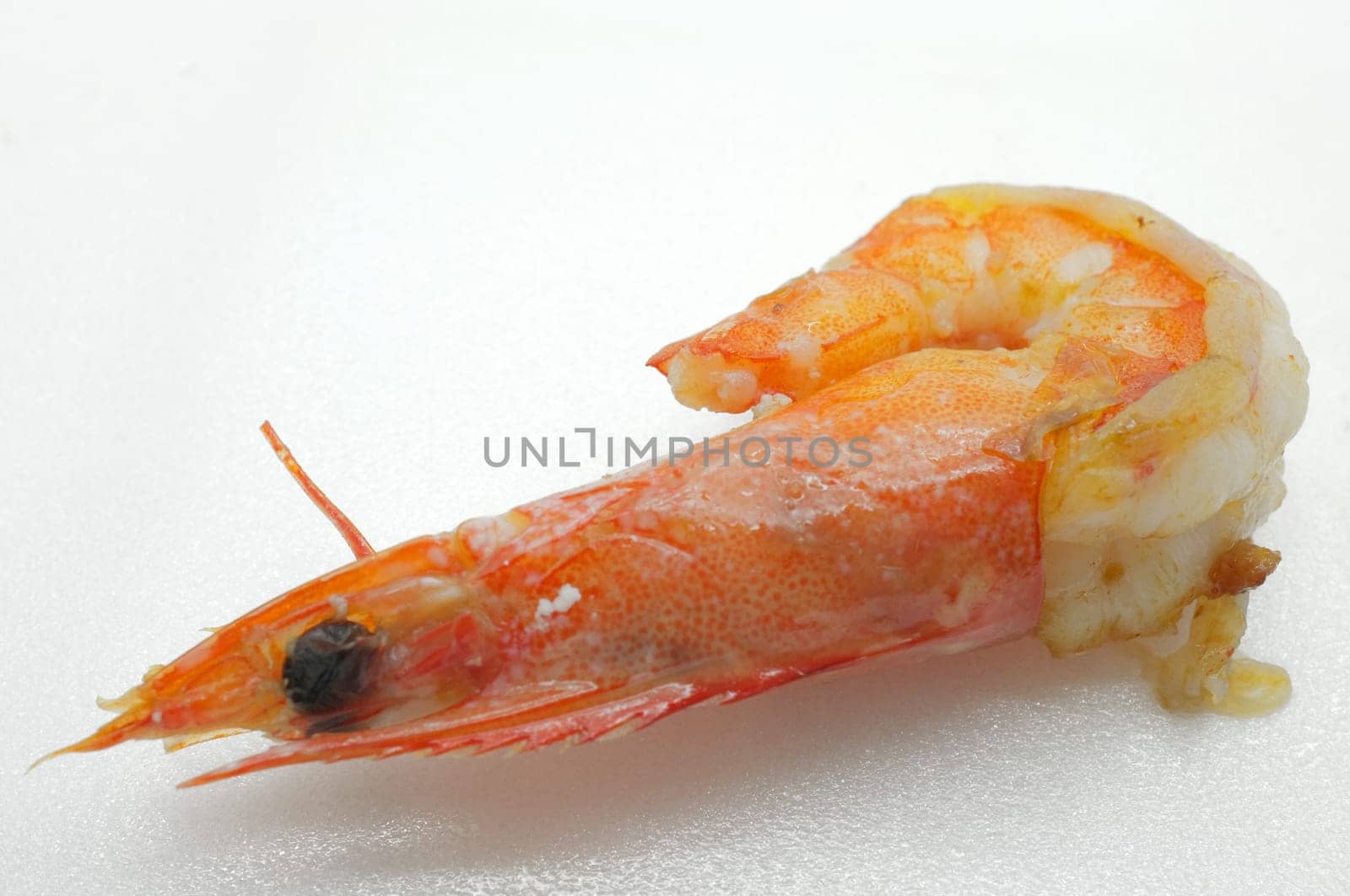 Cooked shrimp / prawn / seafood with head