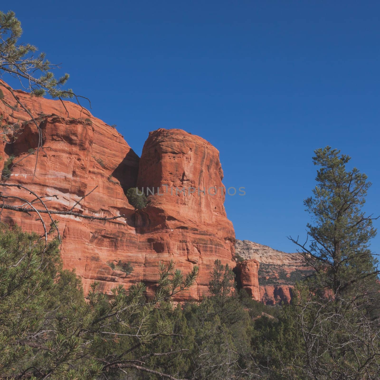 Square landscape of a red rock formation surrounded by green foliage in Sedona, Arizona.
