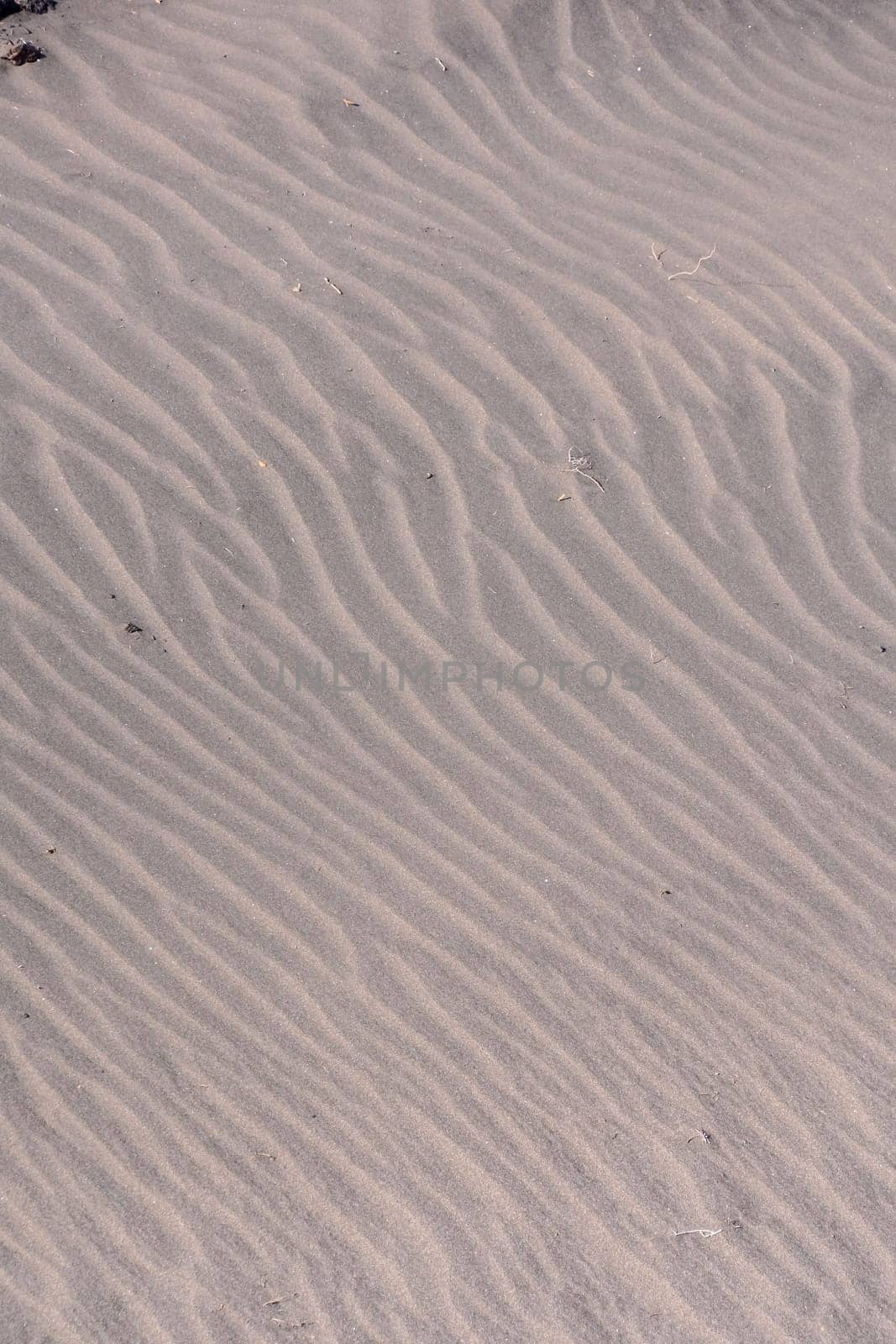 Texture Sand Dune Desert in Gran Canaria Island Spain