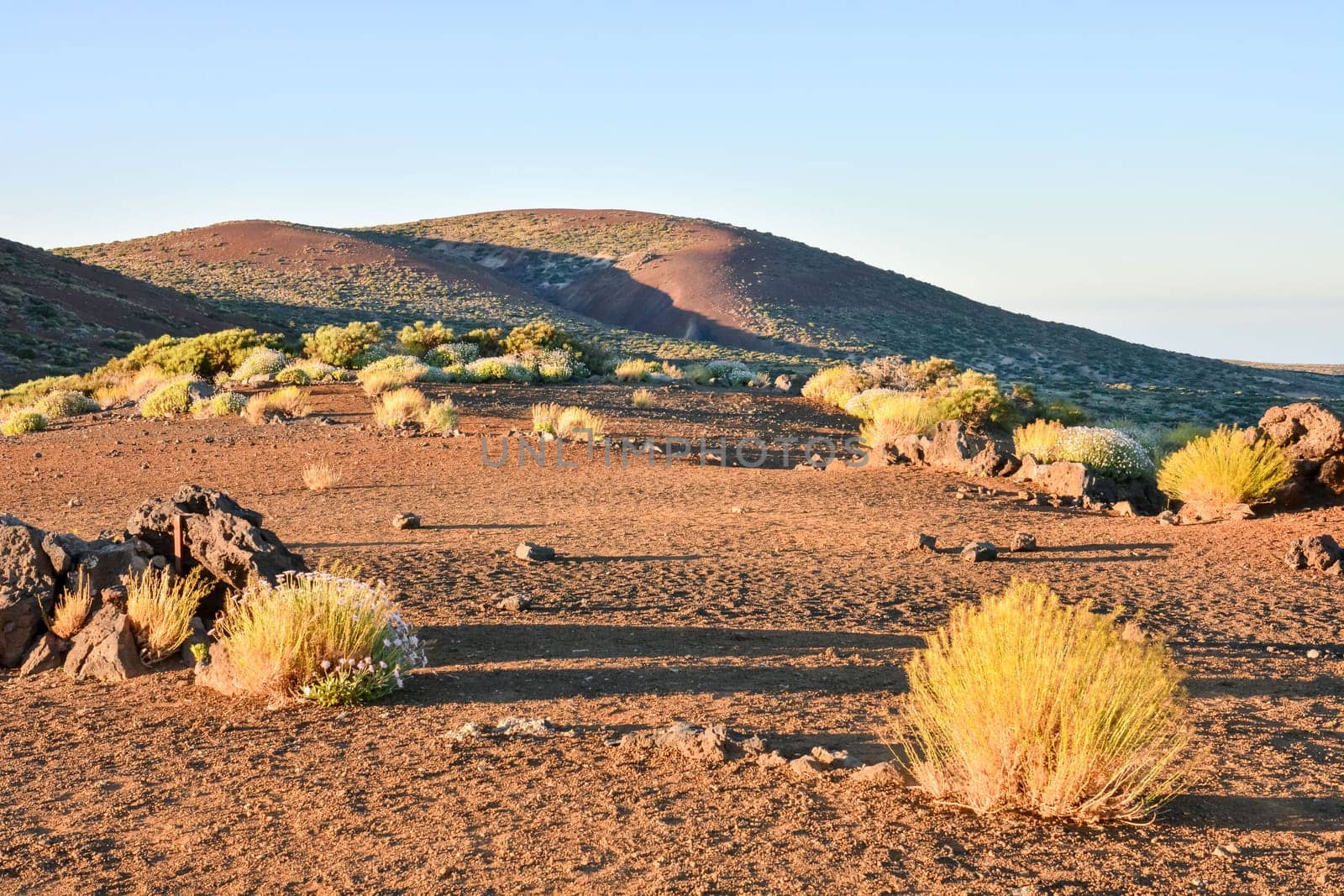 Sunset Desert Landscape in Tenerife Canary Island Spain