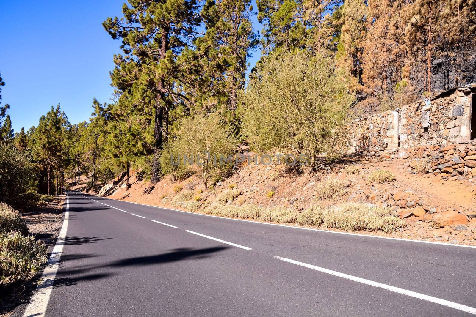 Long Empty Desert Asphalt Road in Tenerife Canary Islands Spain
