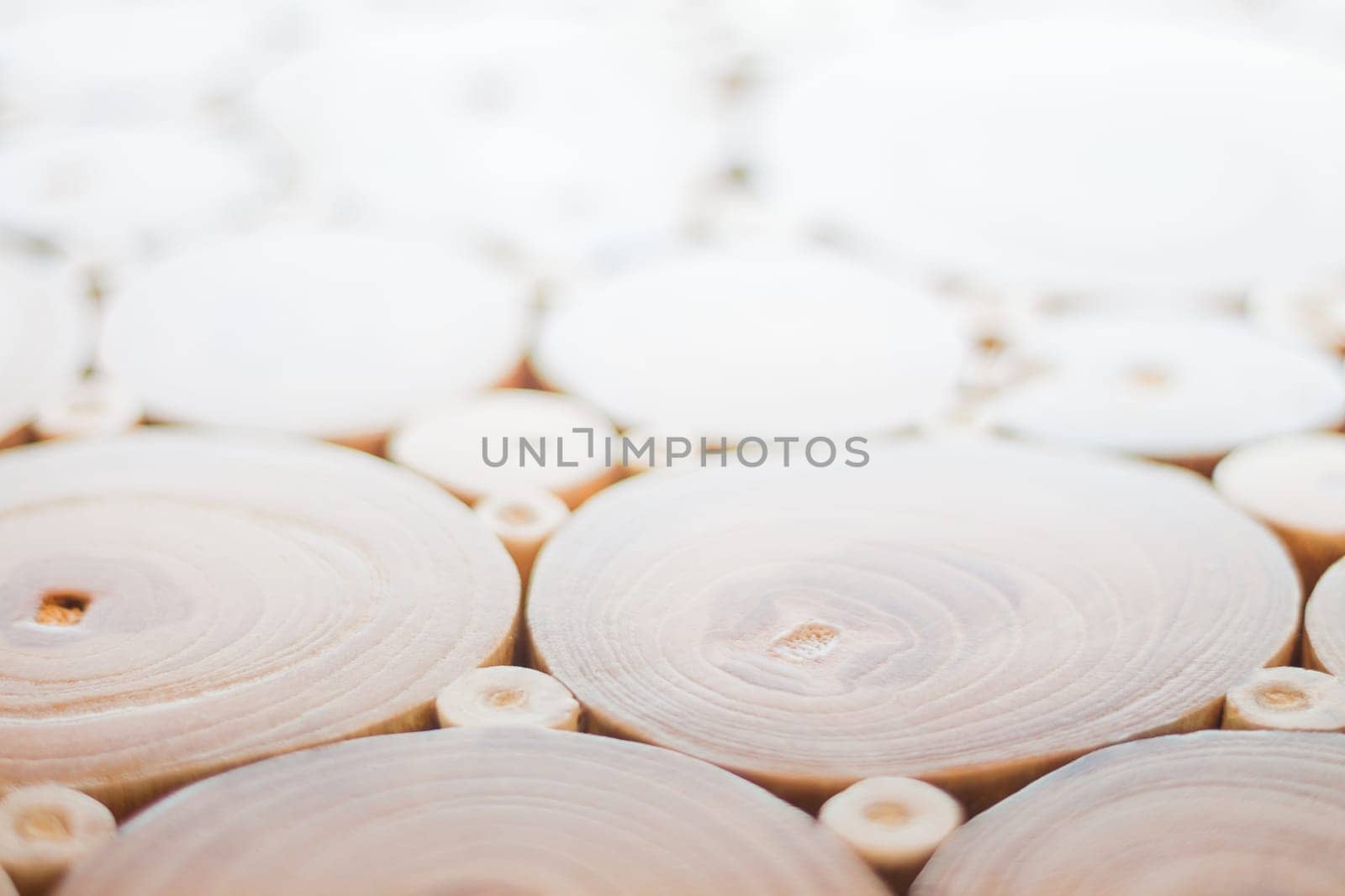 Wood texture of cut tree trunk, stock photo