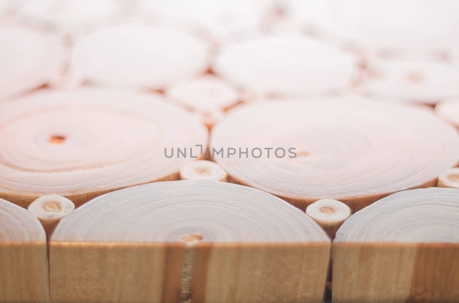 Wood texture of cut tree trunk, stock photo
