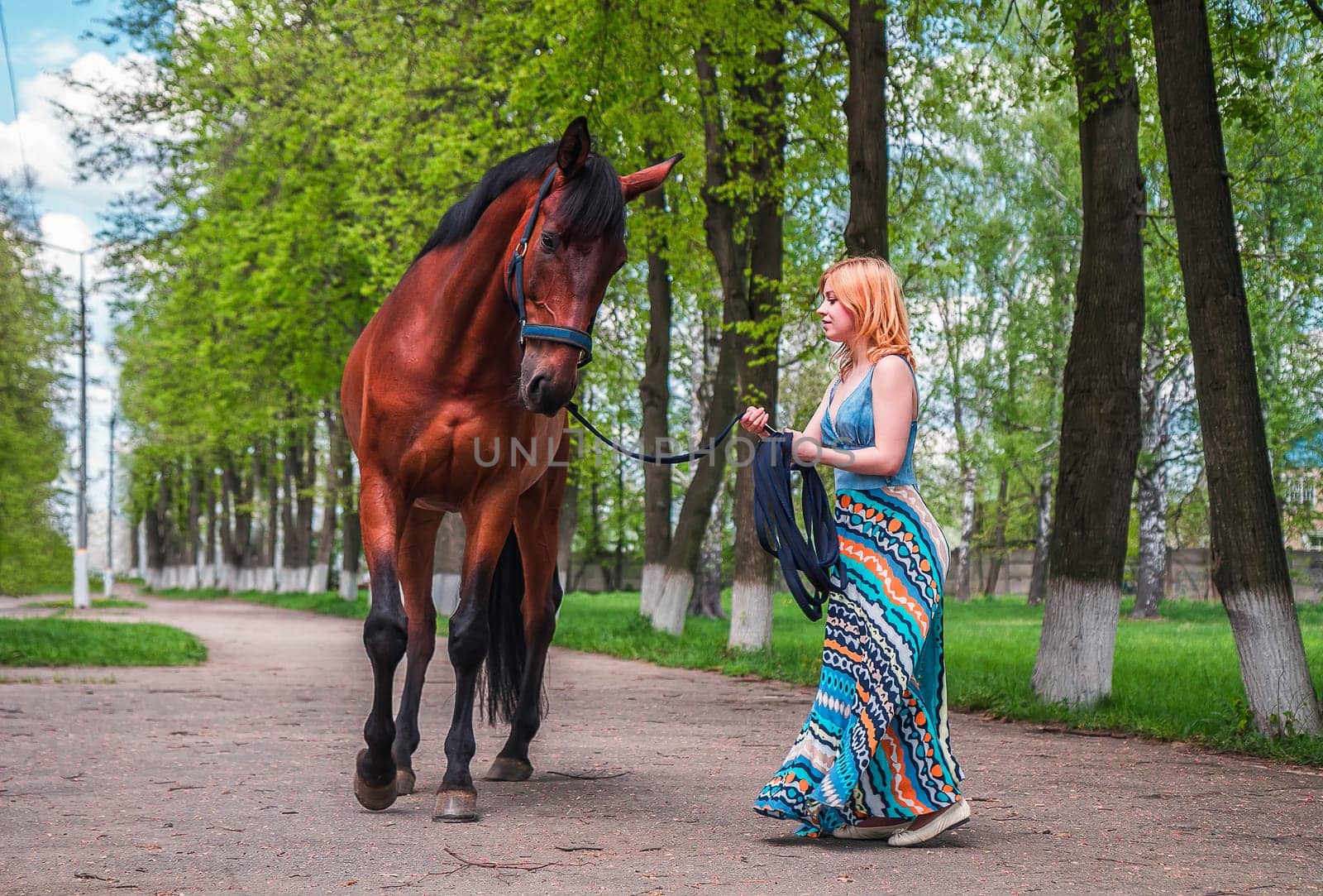 A young blond woman in a long blue dress leads the brown horse on the track along the high tree