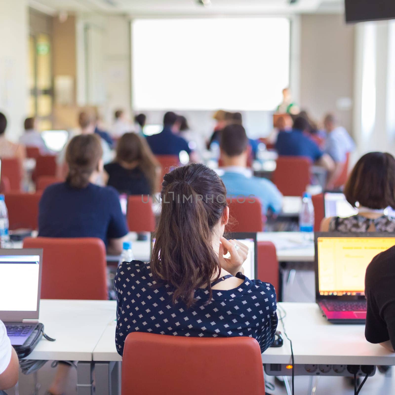 Workshop at university. Rear view of students sitting and listening in lecture hall doing practical tasks on their laptops. Square composition.