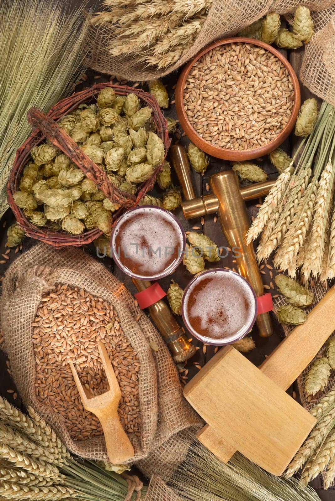 two beer glasses,hammer,tap with wheat,barley,hops and malt