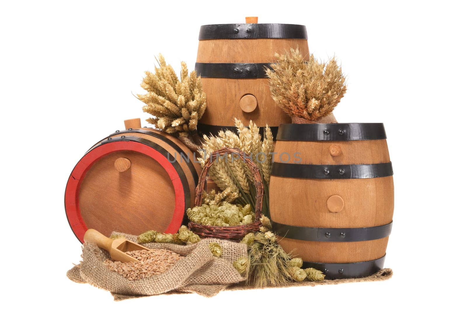 three old beer barrels insulated with wheat,barley,hops and malt On White